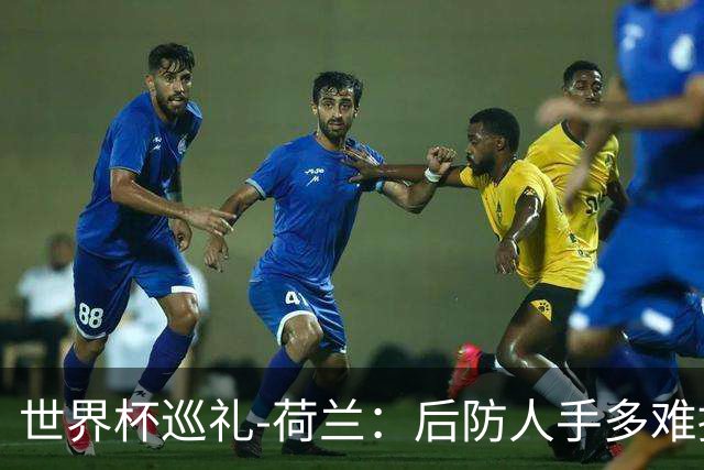 世界杯巡礼-荷兰：后防人手多难掩中前场实力不足，科曼签运不佳