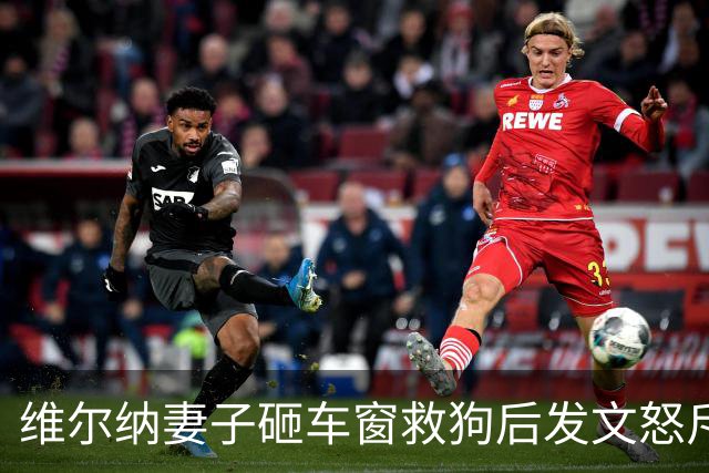 维尔纳妻子砸车窗救狗后发文怒斥主人：30度的天怎能把狗关车上？